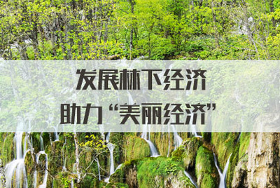 發(fā)展林下經(jīng)濟(jì)，拓展銷售渠道，讓‘美麗經(jīng)濟(jì)’更富生機(jī)