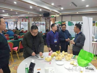 陽信鴨梨榮獲“全國綠色農(nóng)業(yè)十佳地標(biāo)品牌”稱號，綠色農(nóng)業(yè)品牌價(jià)值再提升